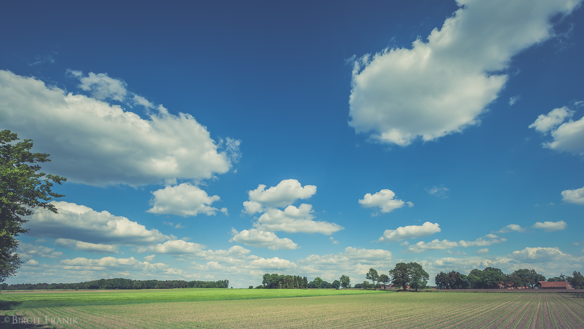 Wolkenland