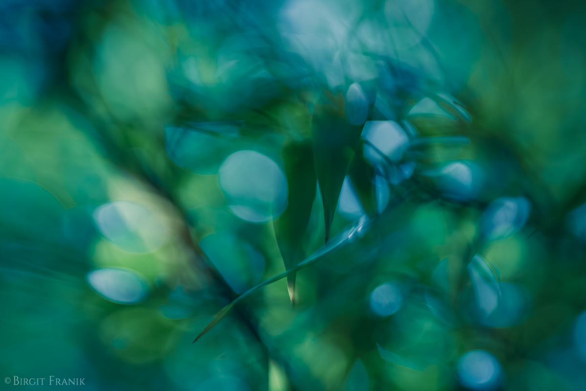 © 2016 Birgit Franik-20160809-2066 painted light