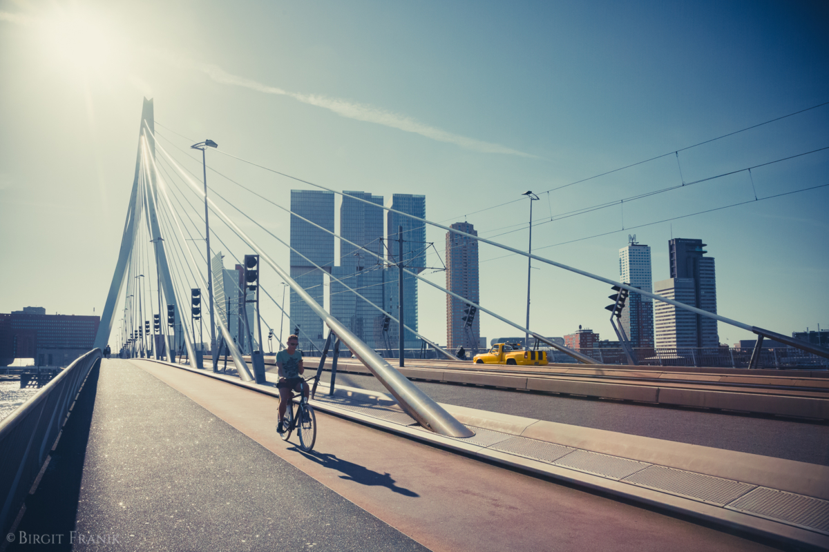 © 2016 Birgit Franik-20160910-5033-rotterdam-erasmusbrücke